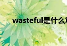 wasteful是什么意思（waste的用法）