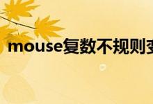 mouse復(fù)數(shù)不規(guī)則變化（mouse復(fù)數(shù)兩種）