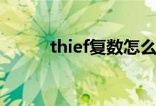 thief復(fù)數(shù)怎么理解（thief復(fù)數(shù)）