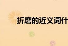 折磨的近義詞什么（折磨的近義詞）