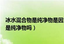 冰水混合物是純凈物是因為由同種分子構(gòu)成嗎（冰水混合物是純凈物嗎）