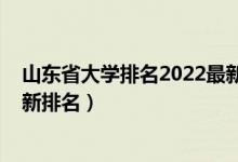 山東省大學(xué)排名2022最新排名榜（山東省大學(xué)排名2022最新排名）