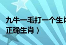 九牛一毛打一個(gè)生肖最佳答案（九牛一毛打一正確生肖）