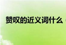 贊嘆的近義詞什么（贊嘆的近義詞是什么）