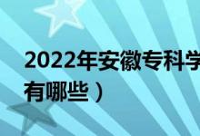 2022年安徽?？茖W(xué)校排名（最好的大專院校有哪些）