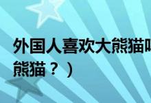 外國(guó)人喜歡大熊貓嗎（外國(guó)人到底有多喜歡大熊貓？）