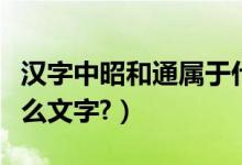 漢字中昭和通屬于什么文字體系（漢字屬于什么文字?）