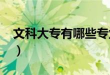 文科大專有哪些專業(yè)（2022年選什么專業(yè)好）