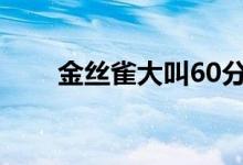 金絲雀大叫60分鐘無(wú)雜音（金絲雀）