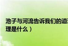 池子與河流告訴我們的道理視頻（池子與河流告訴我們的道理是什么）