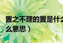 置之不理的置是什么部首（置之不理的置是什么意思）