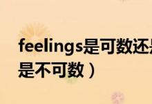 feelings是可數(shù)還是不可數(shù)（feeling可數(shù)還是不可數(shù)）