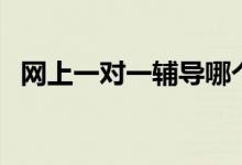 網(wǎng)上一對(duì)一輔導(dǎo)哪個(gè)平臺(tái)靠譜（怎么選擇）