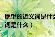 愿望的近義詞是什么四年級上冊（愿望的近義詞是什么）