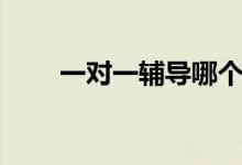 一對一輔導(dǎo)哪個機構(gòu)好（怎么選擇）