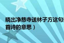 曉出凈慈寺送林子方這句話的意思（曉出凈慈寺送林子方這首詩的意思）