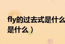 fly的過去式是什么用法是什么（fly的過去式是什么）