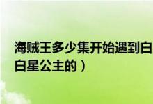 海賊王多少集開始遇到白星公主的（海賊王530集開始遇到白星公主的）