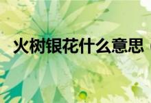 火樹銀花什么意思（火樹銀花有什么暗喻）