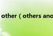 other（others another the other的區(qū)別）