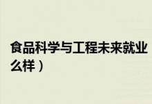 食品科學(xué)與工程未來(lái)就業(yè)（2022食品科學(xué)與工程就業(yè)前景怎么樣）