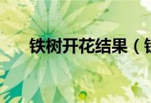 鐵樹開花結(jié)果（鐵樹開花是吉還是兇）