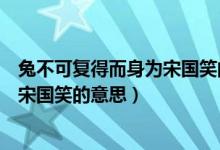 兔不可復(fù)得而身為宋國笑的意思是什么（兔不可復(fù)得而身為宋國笑的意思）