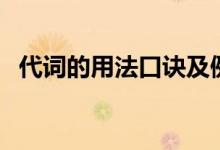 代詞的用法口訣及例句（代詞的用法口訣）