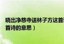 曉出凈慈寺送林子方這首詩的意思（曉出凈慈寺送林子方這首詩的意思）