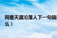 同是天涯淪落人下一句搞笑的（同是天涯淪落人下一句是什么）