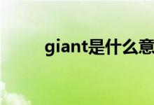 giant是什么意思(giant是貶義么)