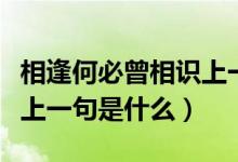 相逢何必曾相識(shí)上一句抖音（相逢何必曾相識(shí)上一句是什么）