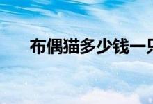 布偶貓多少錢一只（布偶貓價格介紹）