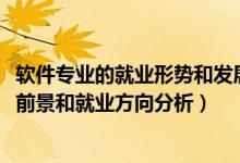 軟件專業(yè)的就業(yè)形勢和發(fā)展前景（2022年軟件技術(shù)專業(yè)就業(yè)前景和就業(yè)方向分析）