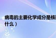 病毒的主要化學(xué)成分是核酸和什么（病毒的主要化學(xué)成分是什么）