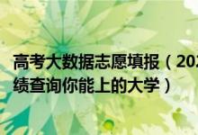 高考大數據志愿填報（2022年高考志愿大數據查詢：輸入成績查詢你能上的大學）