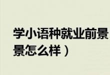 學(xué)小語(yǔ)種就業(yè)前景（2022小語(yǔ)種專業(yè)就業(yè)前景怎么樣）