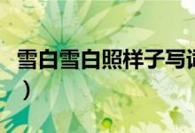 雪白雪白照樣子寫詞語（四個字的疊詞有哪些）