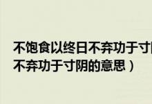 不飽食以終日不棄功于寸陰的意思秒懂百科（不飽食以終日不棄功于寸陰的意思）