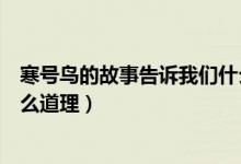 寒號鳥的故事告訴我們什么道理（寒號鳥的故事告訴我們什么道理）