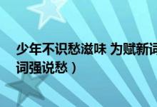 少年不識愁滋味 為賦新詞強說愁（少年不知愁滋味 為賦新詞強說愁）