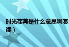 時(shí)光荏苒是什么意思啊怎么讀（時(shí)光荏苒是什么意思啊怎么讀）