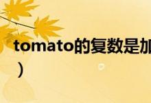 tomato的復(fù)數(shù)是加s還是es（tomato的復(fù)數(shù)）