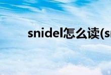 snidel怎么讀(snidel公司旗下品牌)