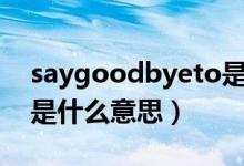 saygoodbyeto是什么意思（saygoodbye是什么意思）