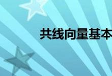 共線向量基本定理（共線向量）