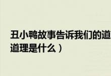 丑小鴨故事告訴我們的道理100字（丑小鴨故事告訴我們的道理是什么）