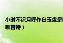 小時(shí)不識(shí)月呼作白玉盤是哪首詩(shī)（小時(shí)不識(shí)月呼作白玉盤是哪首詩(shī)）