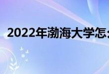 2022年渤海大學(xué)怎么樣（王牌專業(yè)有哪些）