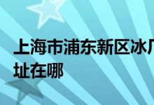 上海市浦東新區(qū)冰廠田幼兒園（碧云部）的地址在哪